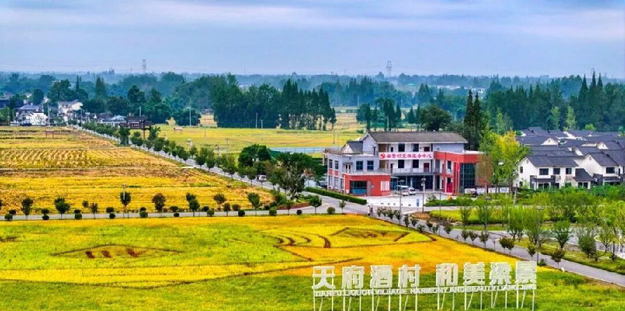 “天府酒村”游人如织（唐海龙  摄）