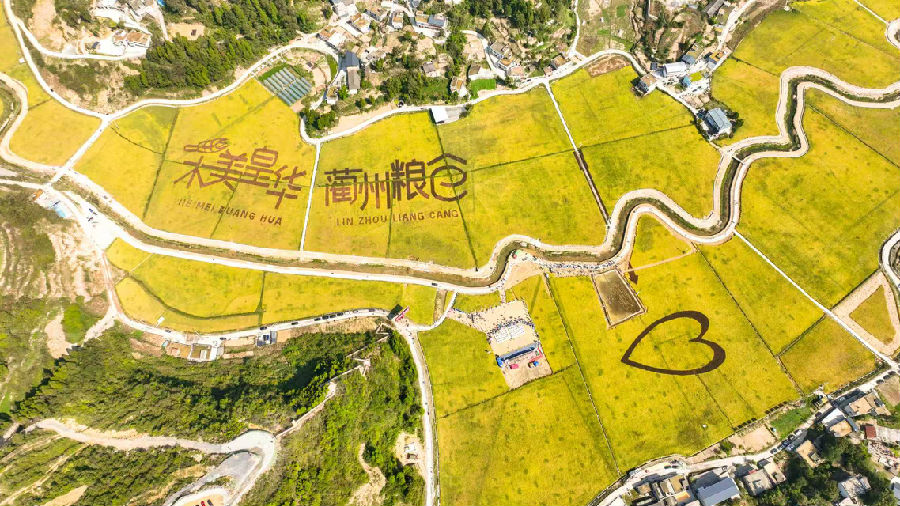 “天府粮仓”皇华示范园（支力 摄）