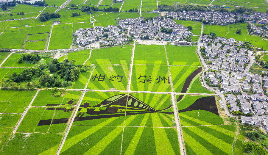 崇州“天府粮仓”核心示范区的生态本底（陈崇轩 摄）