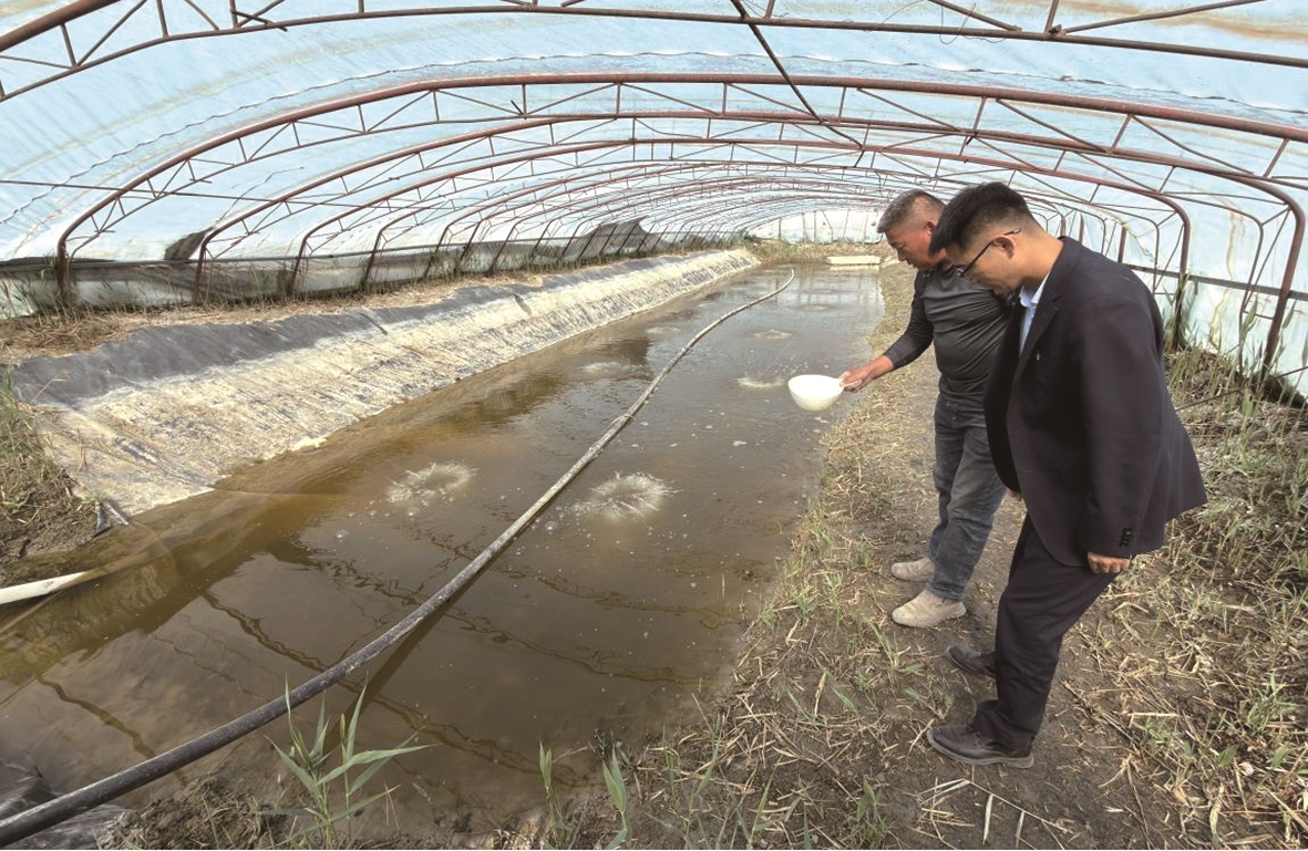 新疆农商银行博州中心支行客户经理(左一)走访南美白对虾养殖基地(加尔肯·迪汗贝克 摄)