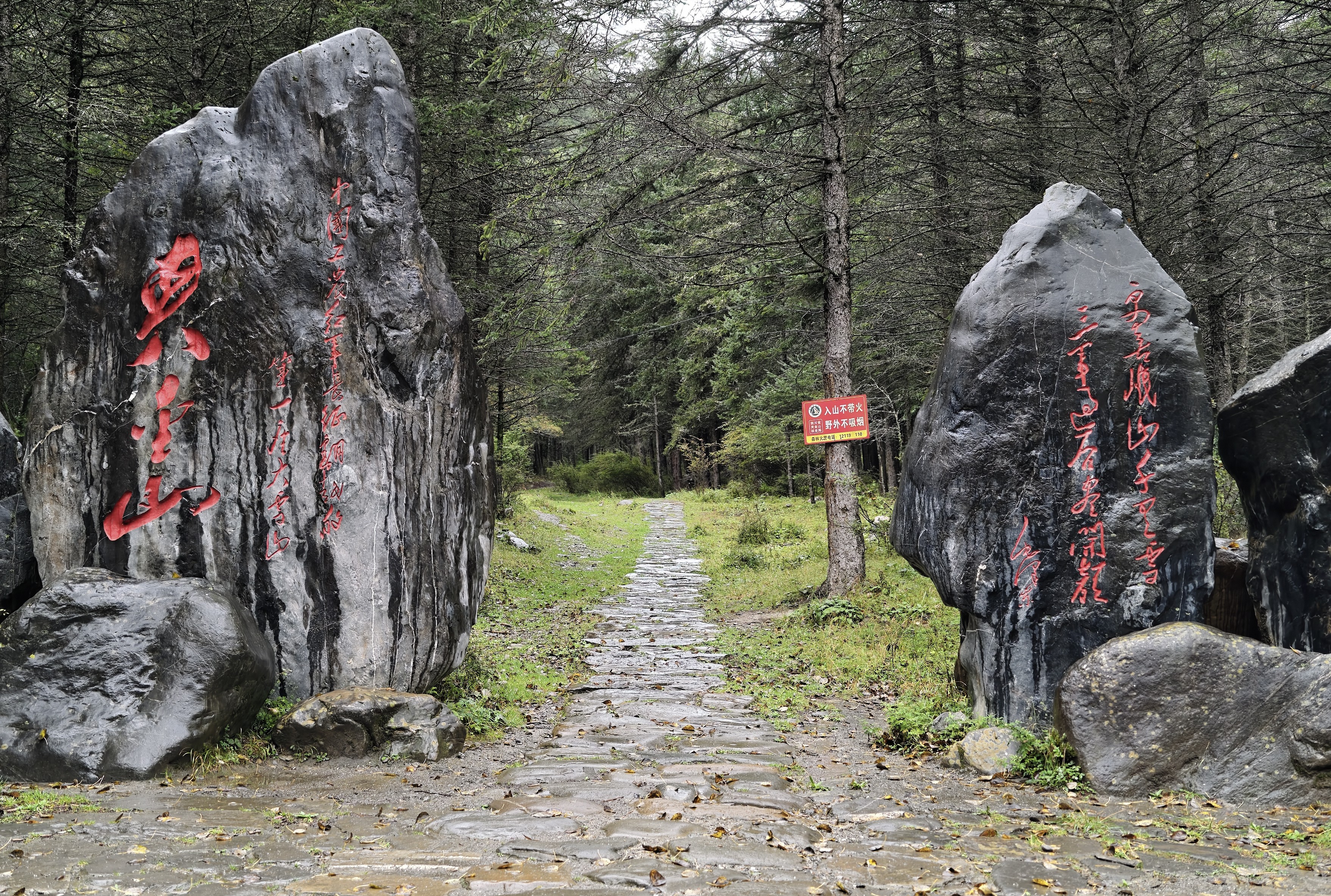 位于宝兴县硗碛藏族乡夹金山南麓的红军小道(戚原 摄)